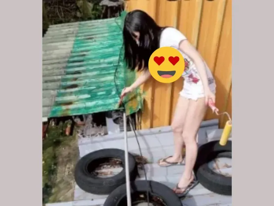 貓毛變綠…她「擅爬別戶屋頂」刷油漆救浪浪！　網見辣照嗨翻：彭小姐是對的