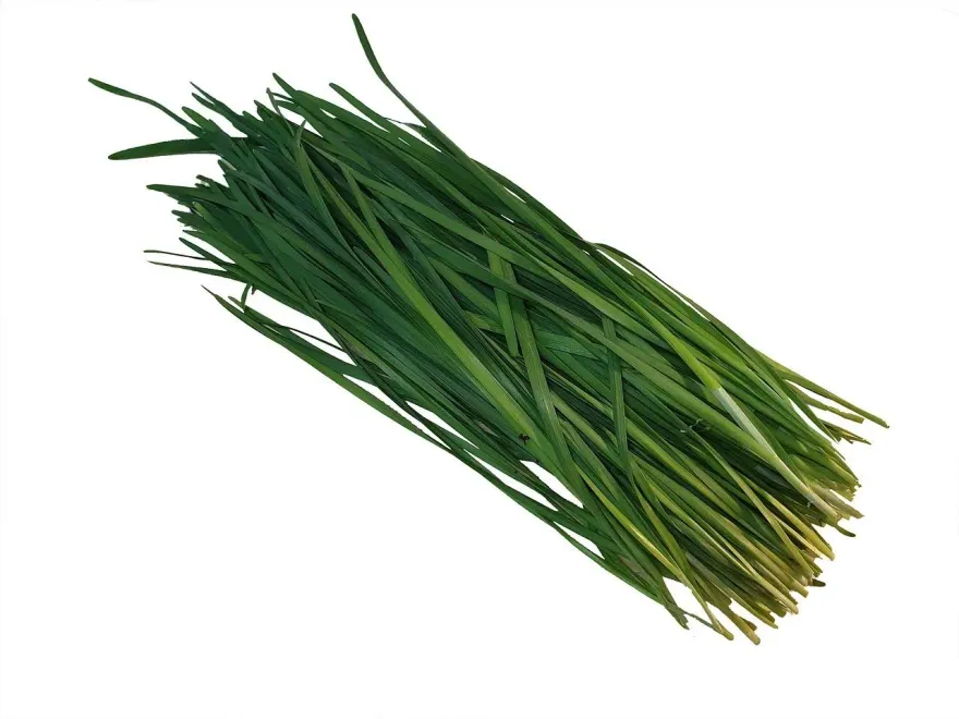 韭菜可壯陽、抗發炎、清血管！　營養師提醒「哺乳媽媽」吃韭菜恐斷奶