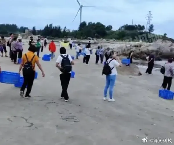 影/又「放生礦泉水」！2大巴載滿人赴海邊　60箱往海裡倒…網:迷之操作