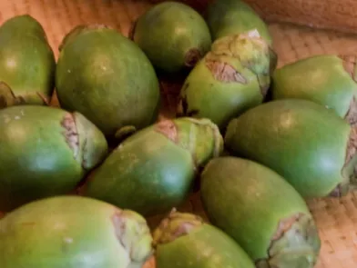 「檳榔專法」暫無上路時間表？莊人祥：持續溝通