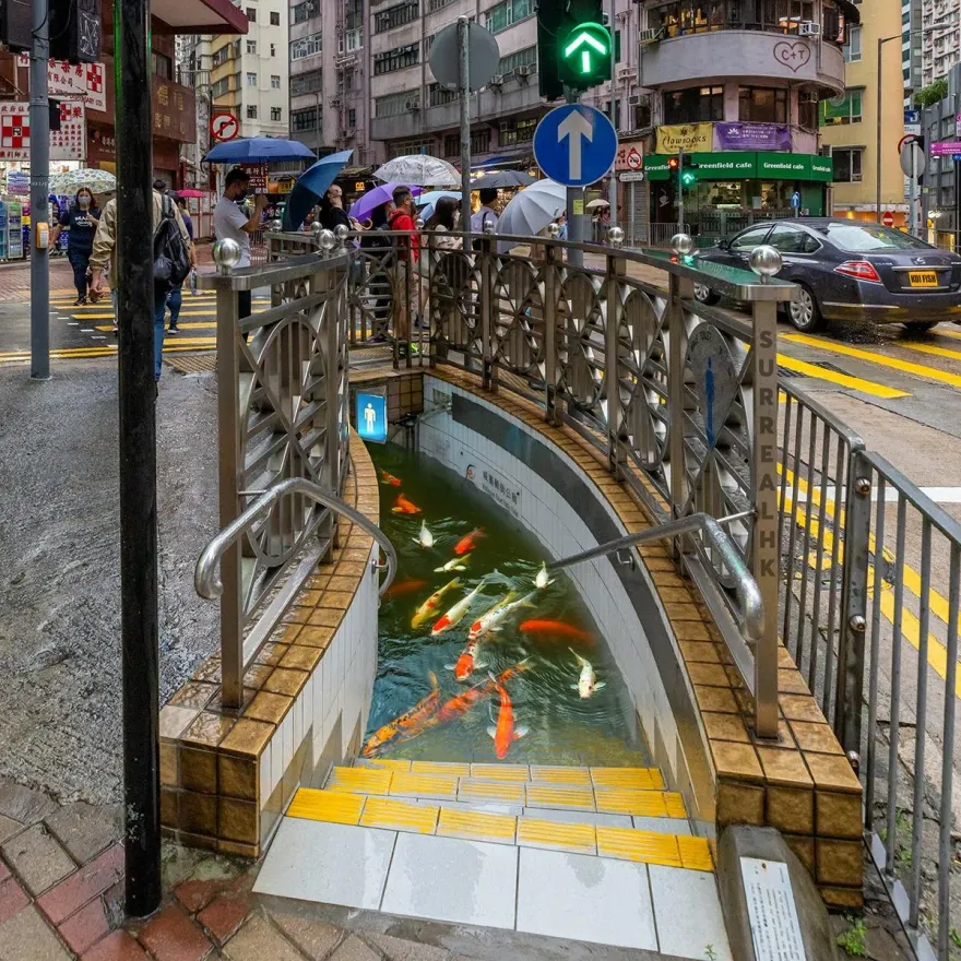 影/暴雨襲港地下公廁積水未退　神人P圖錦鯉惡搞…網笑：500年一遇美景