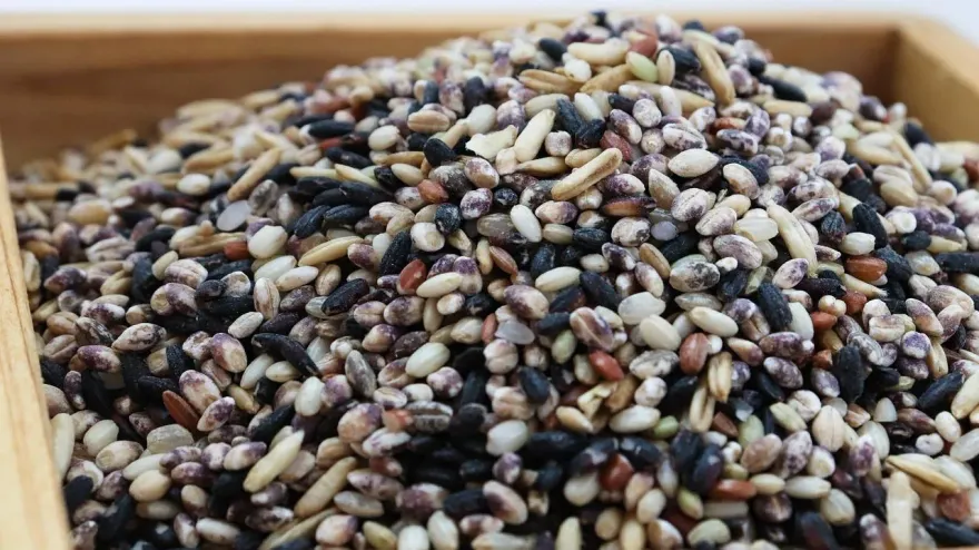 不想吃白米新選擇！營養師推「2神物」搭配價值倍增