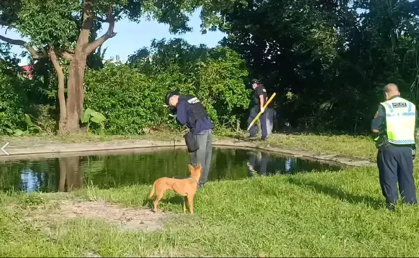 快訊/孩子不見了！台東2歲女童池塘溺水、爸找到人已無心跳