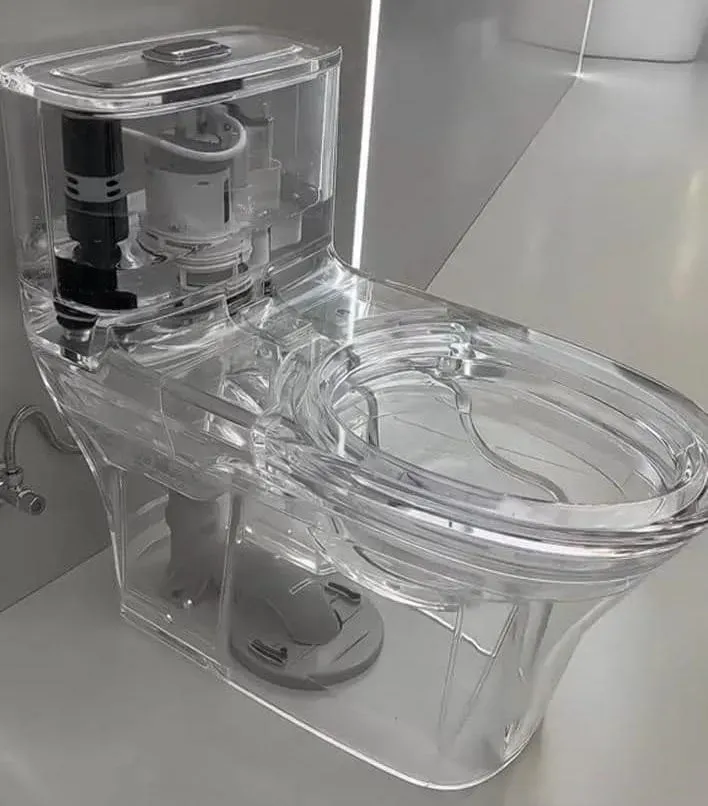 要試試看嗎？「透明馬桶」全方位觀察便便　網笑：阻塞通通看得見