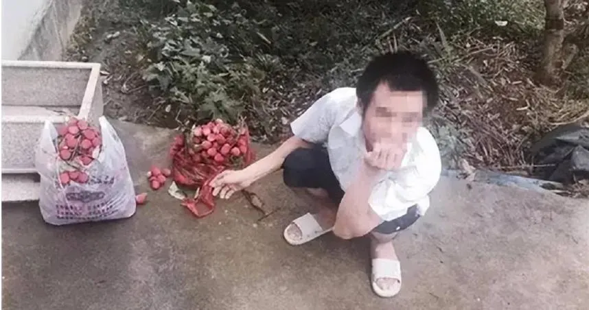 偷荔枝被追趕「絆倒骨折」　住院43天怒告果農...求償35萬結局曝