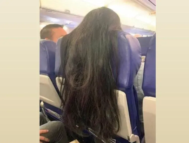 胎歌鬼！飛機椅背「披掛」長髮　網：每2根就給她打一個死結