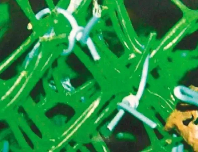 父女籠屍案2/一度被認為他殺…李昌鈺也介入調查　真相竟是先他殺後自戕