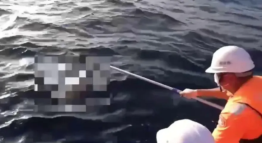 影/高科技大海撈「屍」！外籍貨輪船員落海失蹤　海巡「SLDMB」找到人助他回家