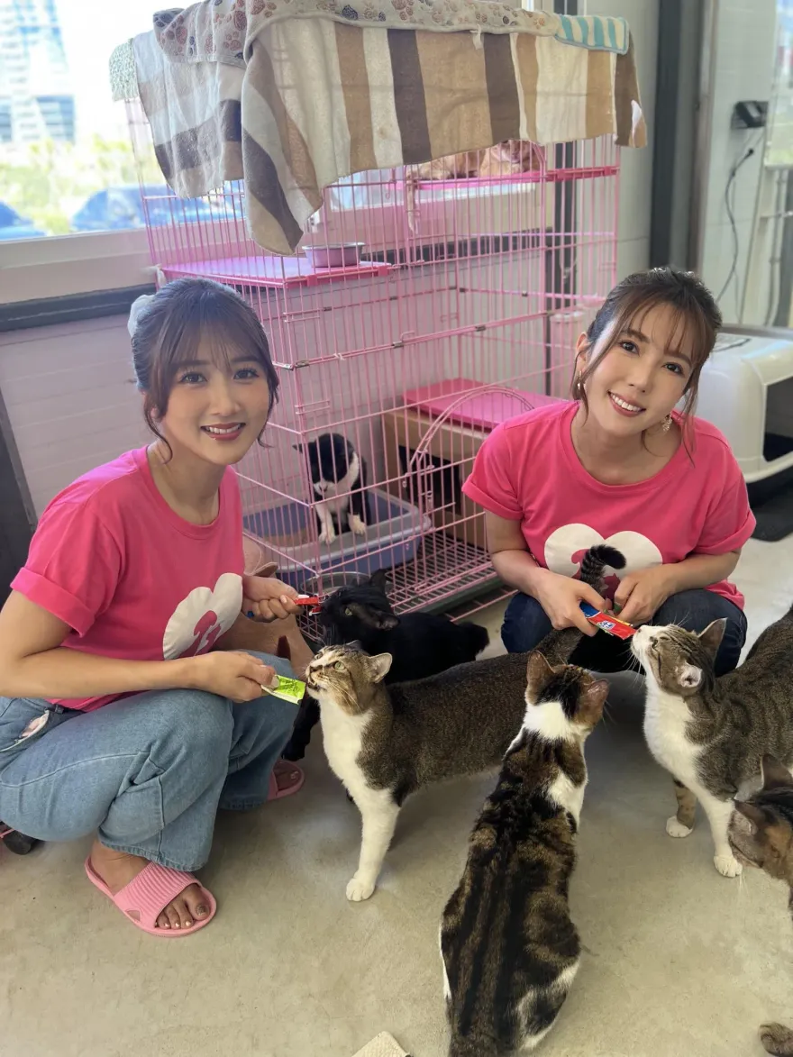 好久沒來！波多野結衣台北做愛心　與大槻響親回「引退」說