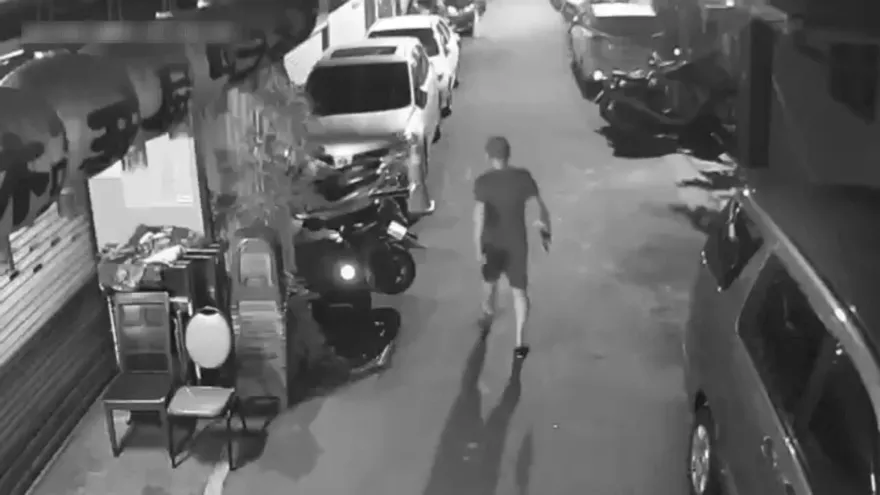 影/浪貓遭空氣槍亂射哀號躲車底　板橋惡劣男辯「驅趕」下場出爐