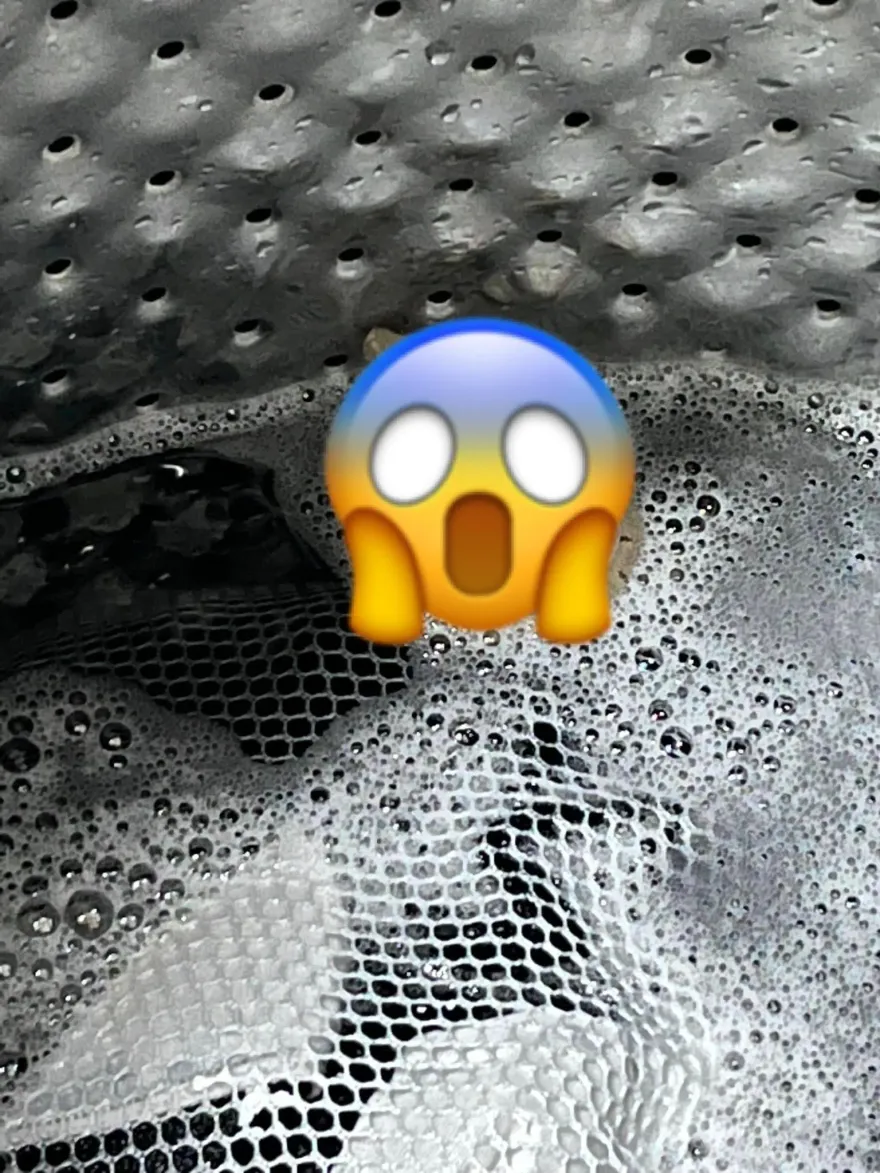 開洗衣機「驚見蛇信」！妹子嚇到後退3步　網揭品種：不敢洗了