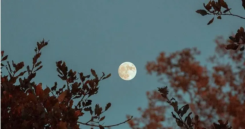 台南中秋夜驚現異象…「詭異藍光」直衝天際　民俗專家示警：年底前小心