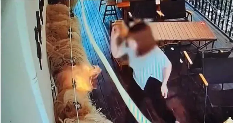 女手賤拿打火機燒餐廳「火苗瞬間變火海」　竟裝沒事收拾物品落跑