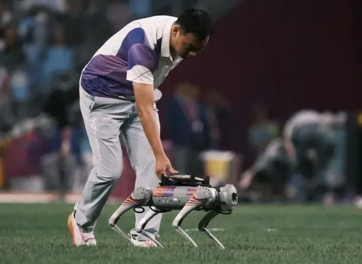 影/杭州亞運/世界首次！機器狗變身鐵餅「搬運工」　網友笑：賽場上它最忙