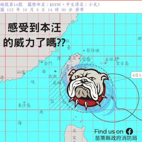 小犬颱風/苗栗颳大風！消防局哏圖「感受到本汪的威力了嗎？」　籲及早防颱
