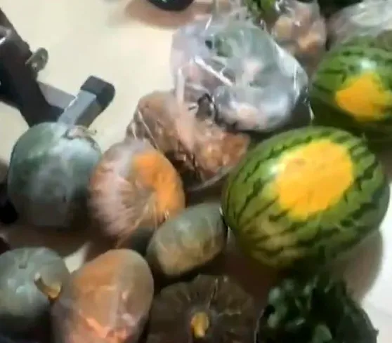 影/名副其實「兒子賊」！男子秀出返鄉「戰果」　2、300公斤土特產堆滿家中