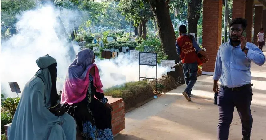 史上最嚴重登革熱！孟加拉染疫數破20萬例　破百孩童死亡