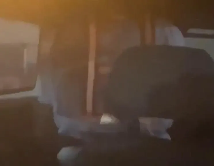 桃機「人體馬達」激情夜！空橋公務車停跑道旁「值勤中」　 忘情開戰