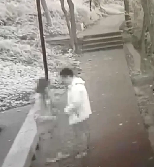 男女「公園野戰」遭消防指揮中心全程直播　隊員違規拍攝侵犯隱私遭法辦