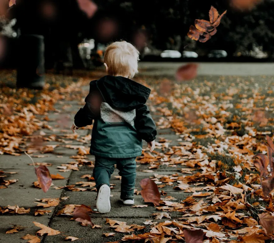 東北季風襲！北部、東部偏涼有雨　中南部日夜溫差大「部分地區下探20度以下」