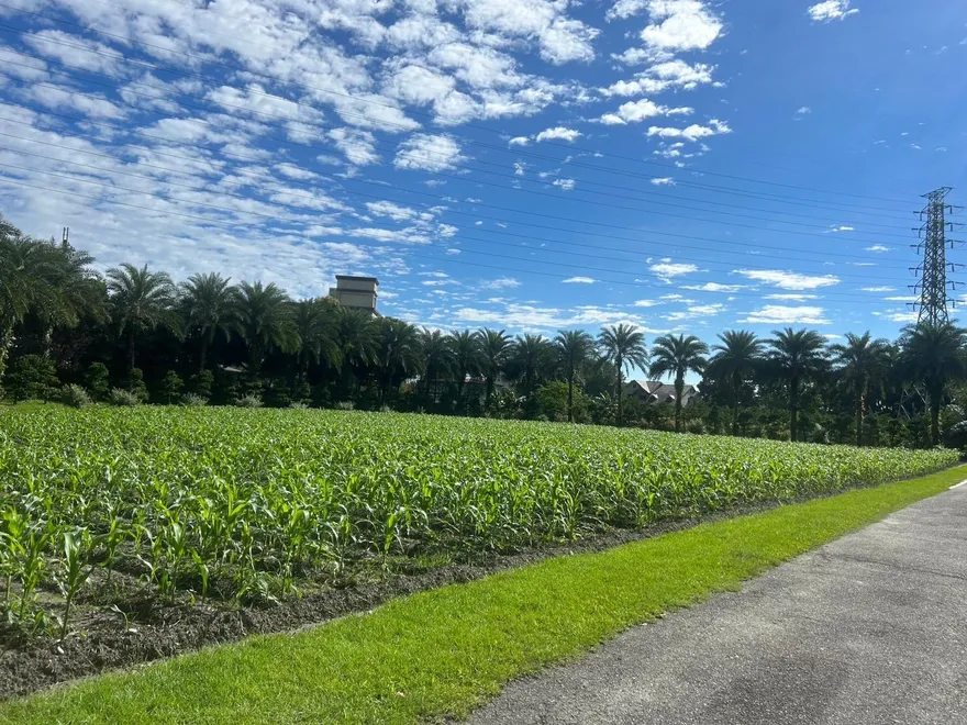 公地放領重啟讓4,445農民受惠　承領土地條件曝光