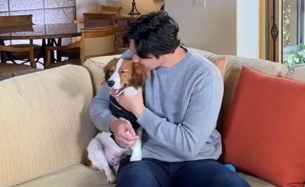 大谷翔平愛犬超稀有！全日本僅100隻　排隊2年才能養到