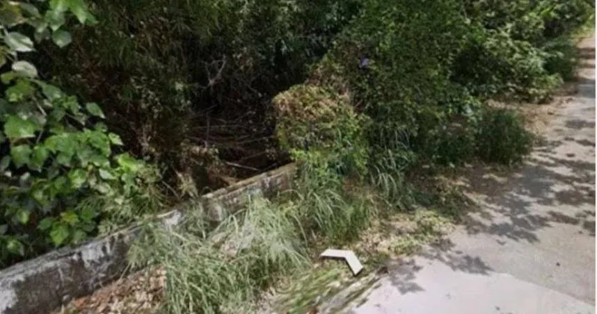員工放炮害雞不下蛋！老闆斷頸致死、推落橋　「帶律師投案」想脫罪