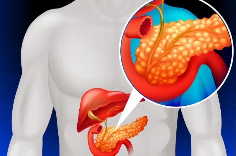 破解癌王有望？免疫系統漏洞找到了　動物實驗證實：腫瘤縮小94％