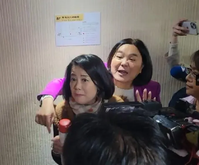 吳思瑤大鬧衛環委員會霸佔發言台！陳玉珍「大環抱+掄牆」伺候：她惡人先告狀