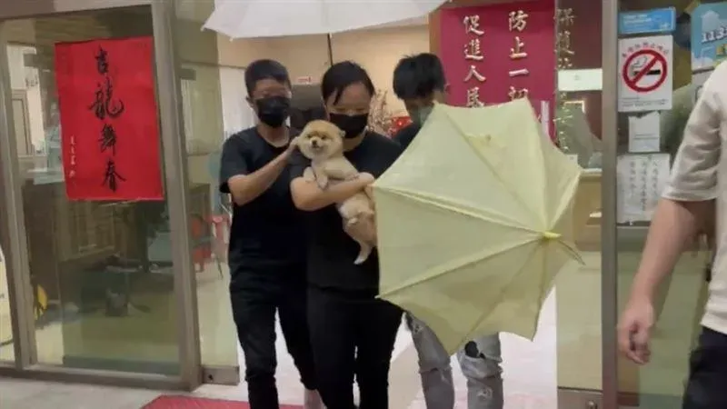 快訊/最新畫面曝！大女兒「糯米被帶走了」　愛犬抱回遠離殺人犯