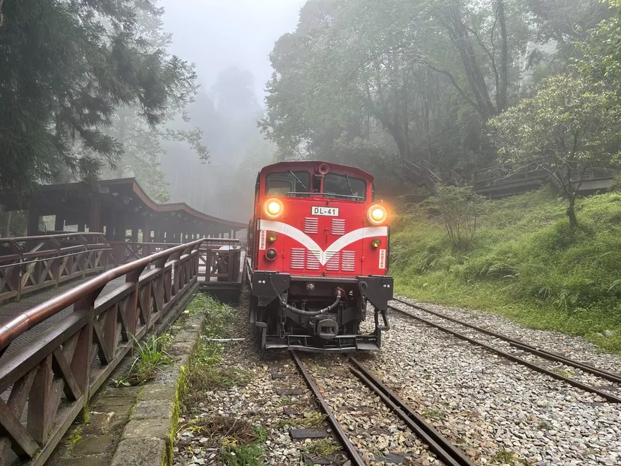 豪雨影響！阿里山林鐵7/28全線預警性停駛