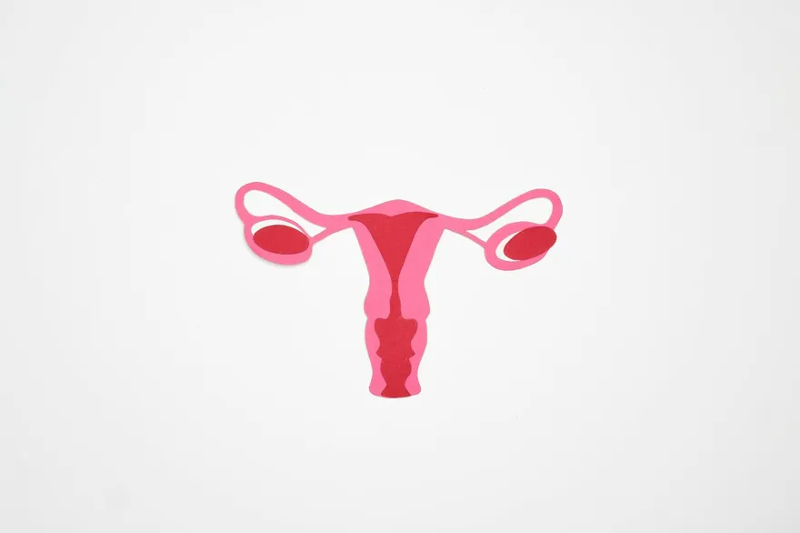 子宮內膜癌發生率攀升！肥胖女性罹子宮內膜癌風險飆2倍