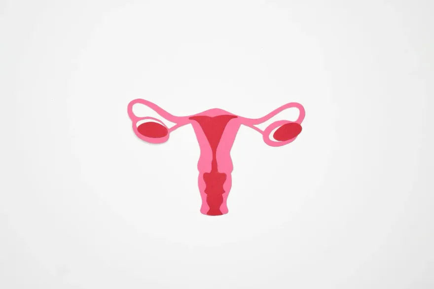 婦以為「沒性生活不會感染HPV」！子宮頸抹片竟驗出中度癌前病變