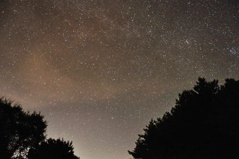 曖昧升溫！「4星座」桃花能量爆發　天秤成焦點