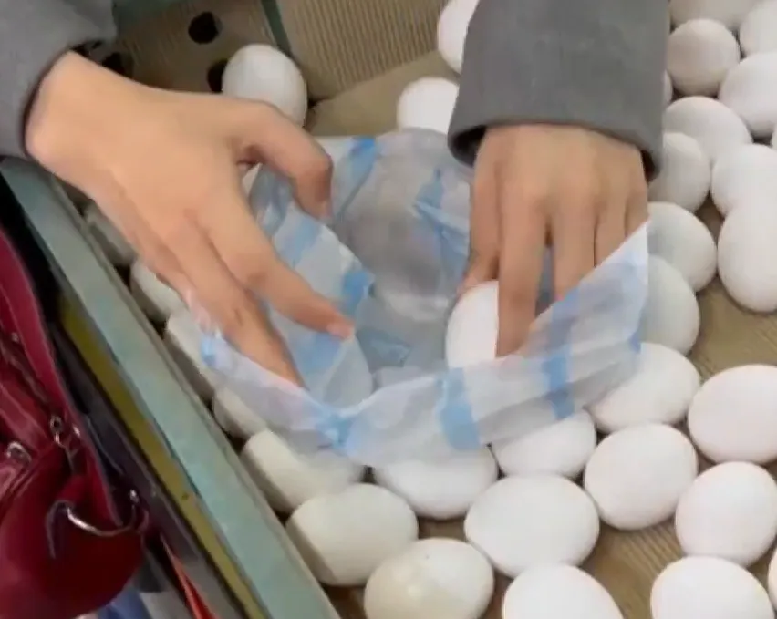 「芬普尼雞蛋」恐已入國人肚　毒物科醫：傷肝腎、中樞神經