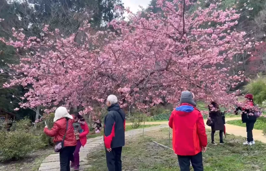 不用再連上6天了！人事總處：未來只有補假沒補班