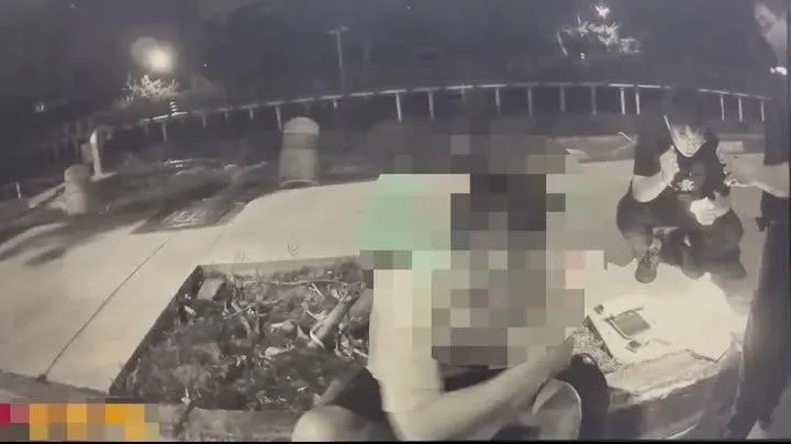 影/禍不單行！毒駕猴恍神自撞分隔島　警搜出安毒竟甩鍋