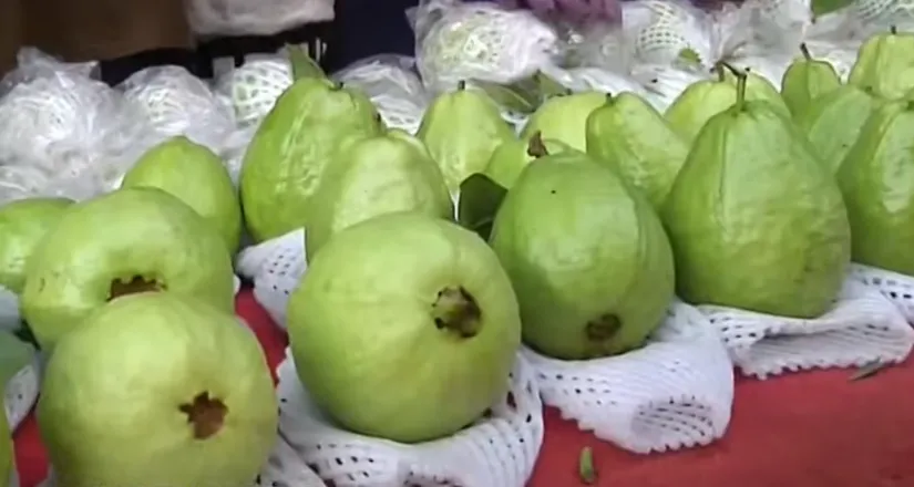 三顆芭樂600元！網諷：這價格襯托天母人高雅氣質