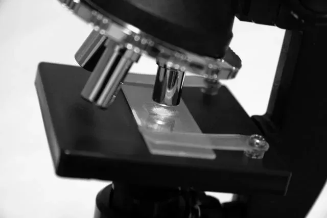 台日研究重大突破！澎湖海底人類化石證實為「丹尼索瓦人」