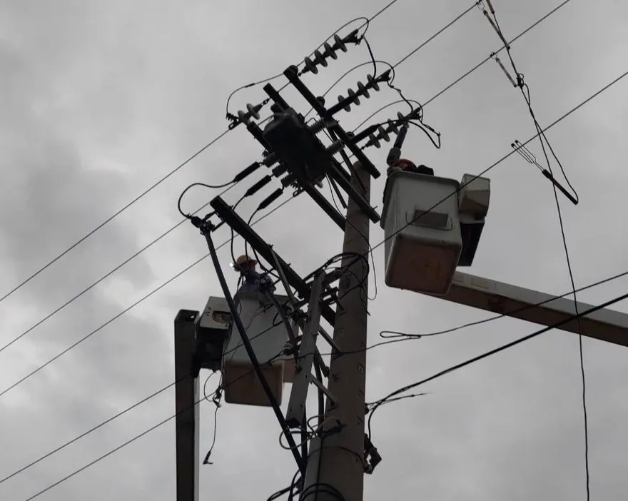 松鼠又行走江湖！高雄左營1376戶停電　台電：已復電