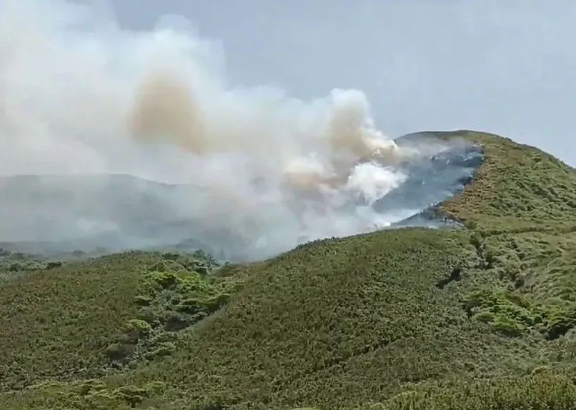 陽明山小油坑火燒山！「空品感測儀器」疑為起火點　國研院回應了