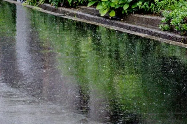 梅雨季將展開！濕氣加重「吃瓜果類」恐害濕疹變嚴重