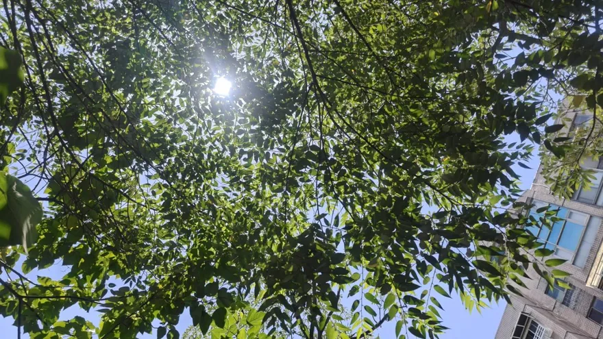 雙北飆36度！8縣市亮高溫燈號　橙色警戒地區出爐