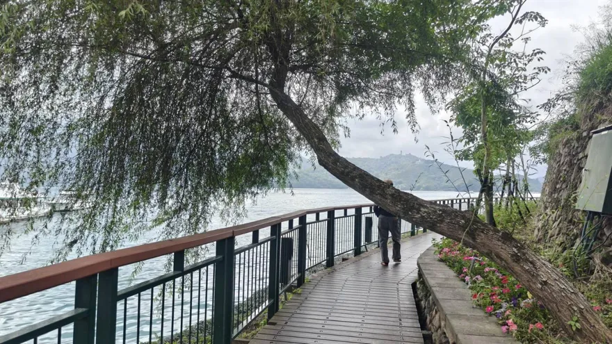 日月潭春節、和平紀念日啟動交管！台21線多處禁停車