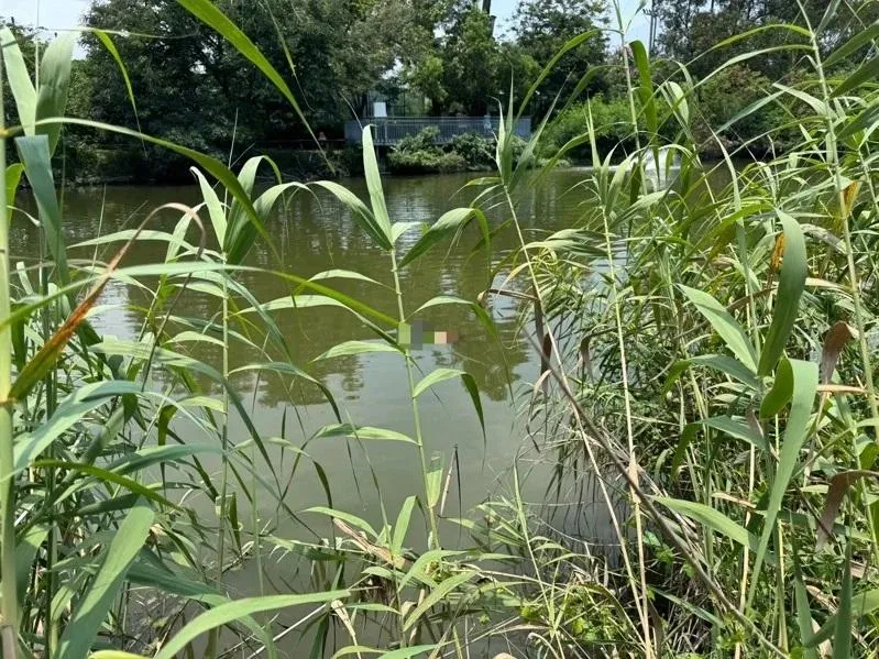 24天2人送命慘變「身亡熱點」！台南巴克禮公園又有浮屍