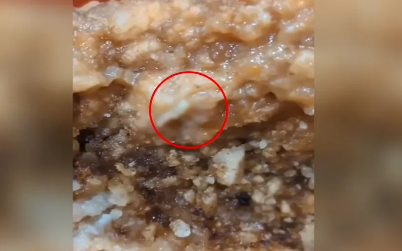 影/團膳驚見「活蛆狂蠕」從雞排爬出！日月光員工氣炸