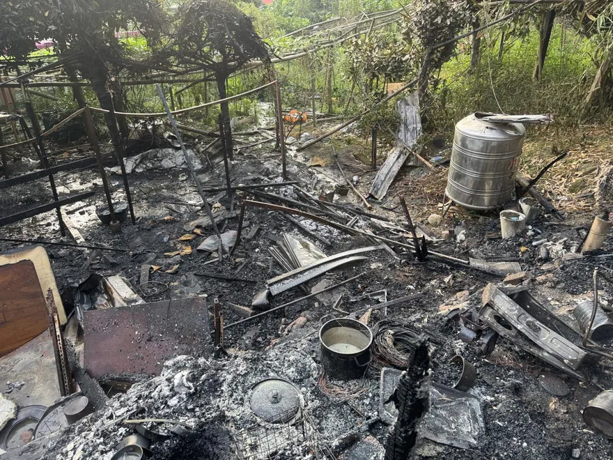 影/樹林凌晨半山腰「農場大火」雞舍狂燃　災後焦黑慘狀曝光