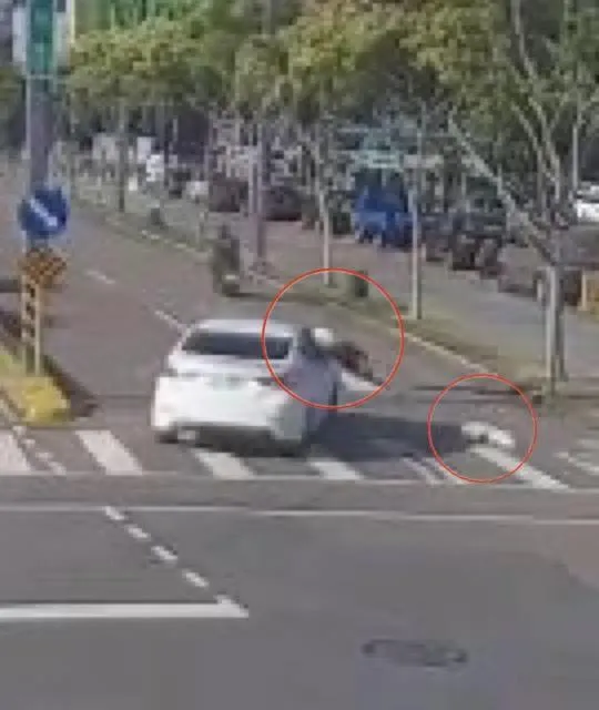 愛女牽狗過馬路挨撞！搶救15天不治　母：跟媽祖修行去了
