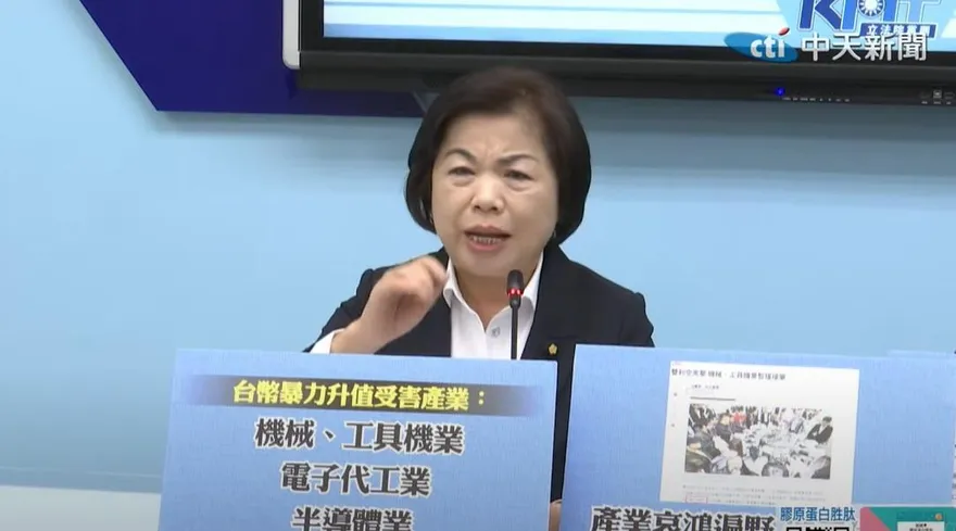 楊瓊瓔：台幣暴升束手無策　機械產業哀鴻遍野、血流成河