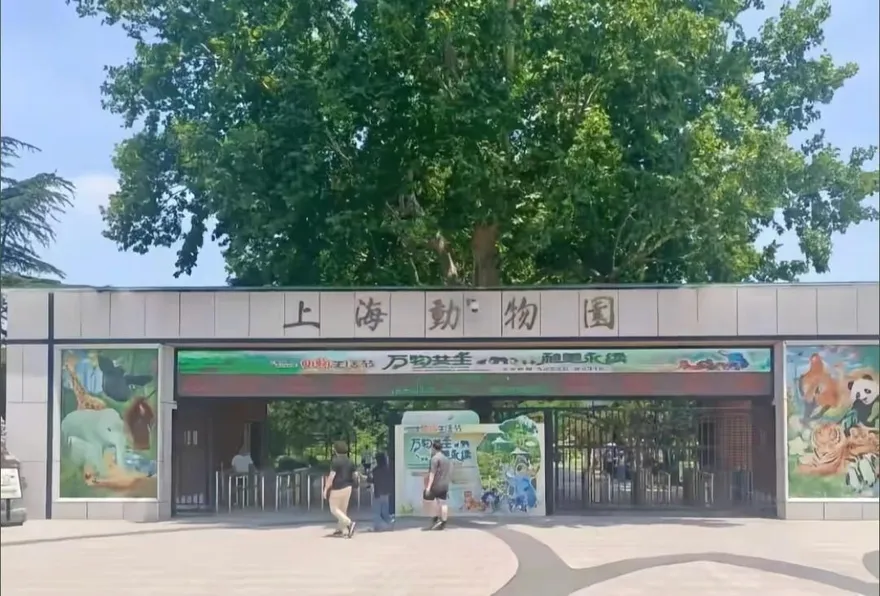 10月嬰「用奶瓶喝奶」竟遭驅趕！上海動物園：不文明